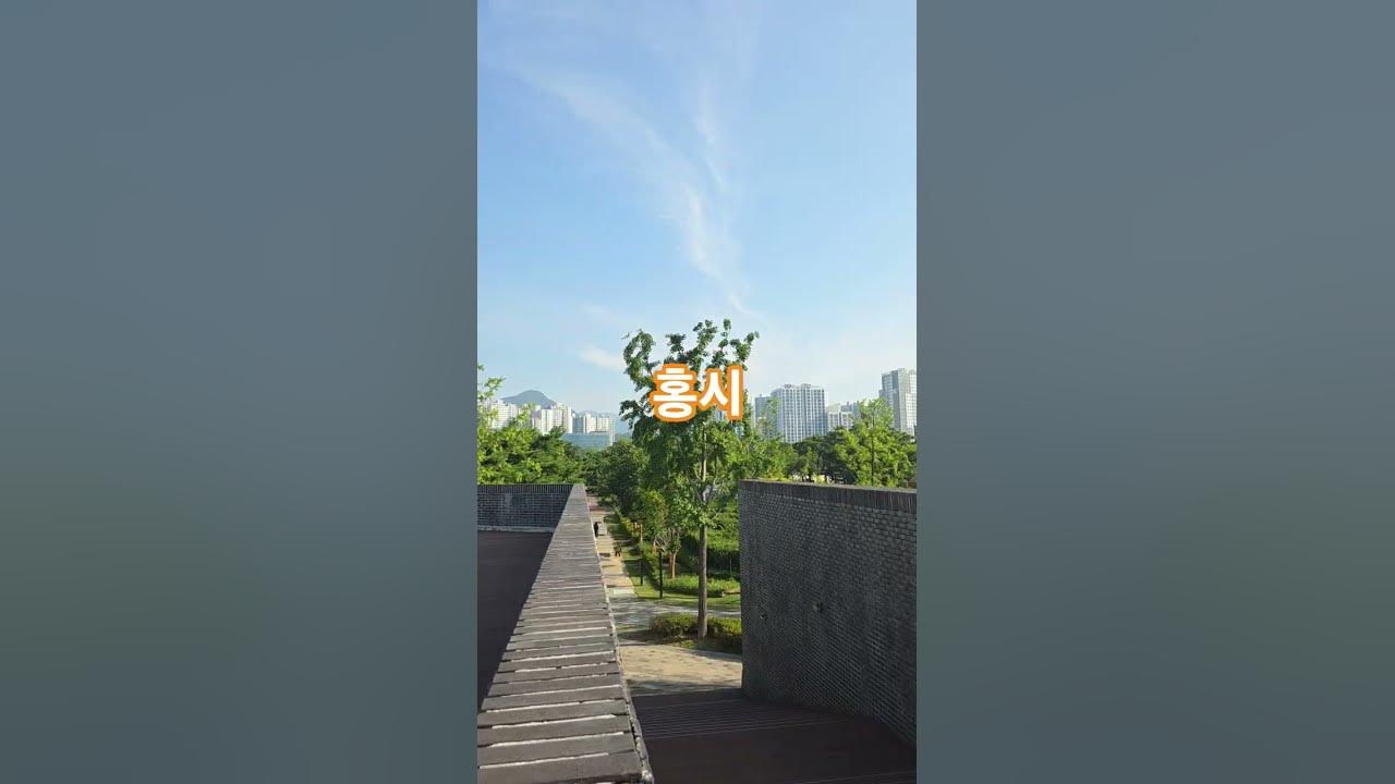 홍시.  #나훈아