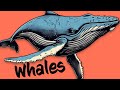 Which whales do you know  orca narwhal humpback blue whale  more