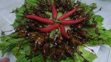 cách làm chim trời rôti