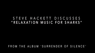 Steve Hackett on “Relaxation Music for Sharks” from the album ‘Surrender of Silence’.