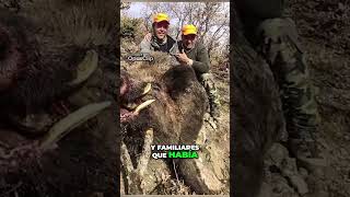 ¡Increíble! Caza de un Jabalí Gigante de 400 Kilos