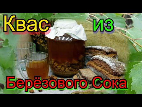 Как сделать квас из березового сока вкусный. Квас на березовом соке. квас из березового сока. как делать квас из березового сока. как сделать квас из березового сока.