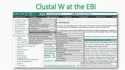 Clustal W Tool in EMBL-EBI Website