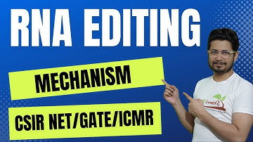 RNA editing | mRNA editing mechanism | eukaryotic rna processing | c to u