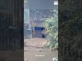 Pandas hate going to work ,too #panda #cute #viral #trending