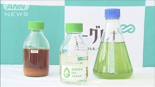 ミドリムシ由来の燃料発売　軽油と同じように使用可(2021年4月9日)