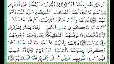 سورة محمد الصفحة  509