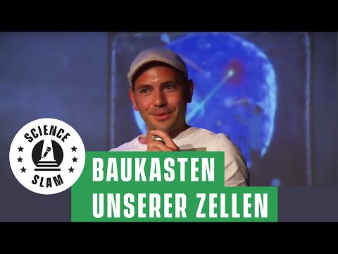 Video: Pränatale Epigenetische Diäten Spielen Eine Schützende Rolle Gegen Umweltverschmutzung