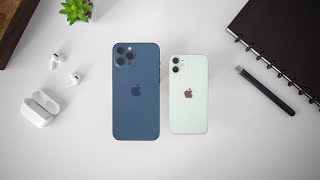 iPhone 12 Pro Max vs iPhone 12 Mini - Long Term Review
