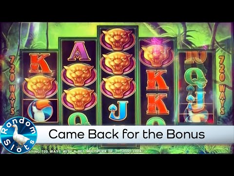 Prowling Panther Slot Machine, Came Back for Bonus