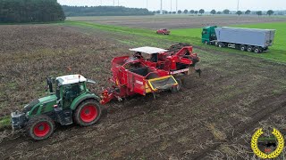 Kartoffelernte auf dem Röpers Hof | Grimme | MAN | Fendt 724, 718 | Kröger Agroliner