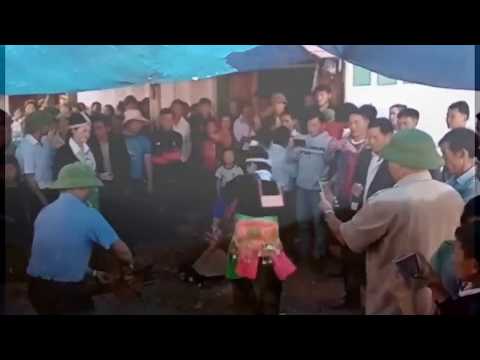 Video: Txoj Cai Kho Mob Tshiab Rau Cov Mob Lub Qog Kab Mob Pob Tawb