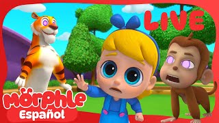 EN VIVO 🔴 Maratón de Animales 🐒🐘🦁 - Caricaturas con Morphle 24/7