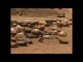 Globo Rural - Confinamento de gado no Kansas,Estados Unidos