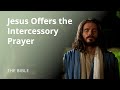 Luke 22 | Jesus Warns Peter and Offers the Intercessory Prayer | The Bible