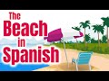 Spanish Beach Vocabulary Quiz