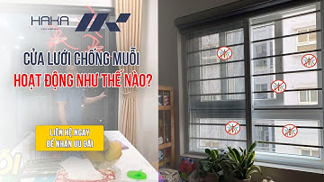 Review CỬA LƯỚI CHỐNG MUỖI CHUNG CƯ HAKA | Cảm Nhận Của Bác Khách Tại Hà Nội | Rèm Chống Côn Trùng