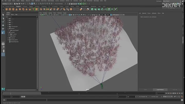 TāneEnv - View Frustum Culling