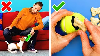 23 AWESOME LIFE HACKS FOR PET OWNERS