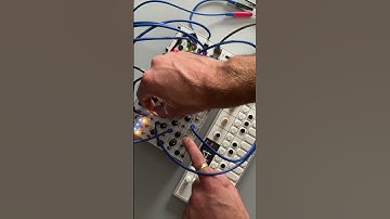 @Endorphines GHOST & OP-1 field