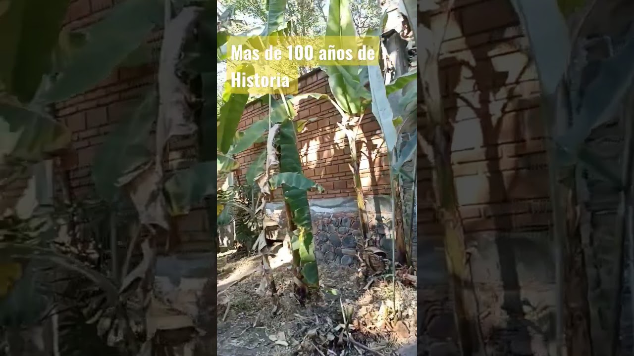 Hacienda NOGUERAS más de 100 años #historia #leyendas #pueblomágico #1k #viralshorts #shortsvideo