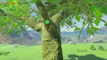 [DAY 744] of finding one korok seed everyday until Totk comes out