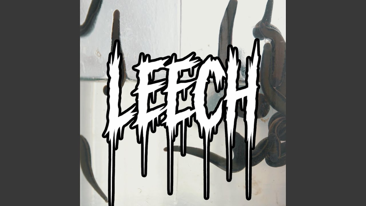 Obejrzyj Leech w YouTube Obejrzyj Leech w YouTube