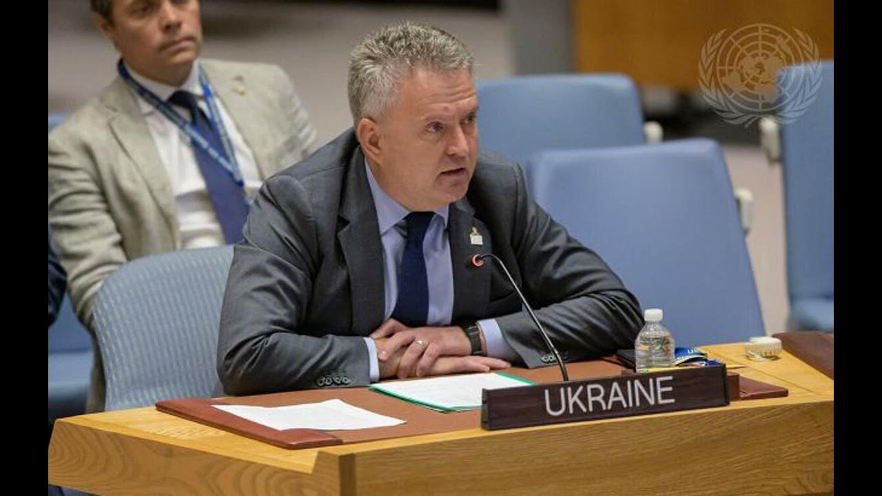 Представитель украины в оон. Эмине айяровна джапарова. Представитель украины в оон. Представитель украины в оон кислица. Представитель украины в оон.