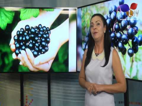 Video: Petă Albă De Frunze De Coacăz și Coacăz