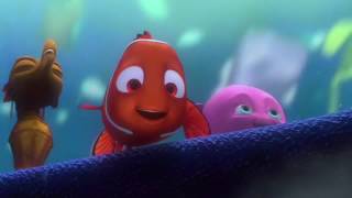 Animation Trainer Reviews Finding Nemo