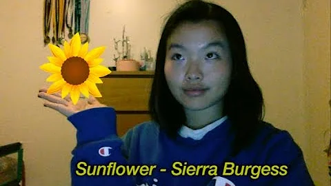 Sunflower - Sierra Burgess