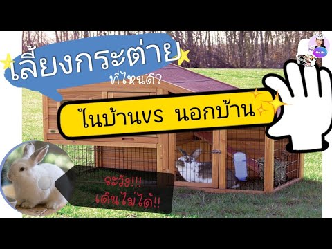 วีดีโอ: เลี้ยงกระต่ายหลังบ้าน – วิธีเลี้ยงกระต่ายในสวนหลังบ้าน