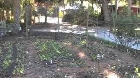 New Port Richey ket Gardner Jim Kovaleski Interview part2