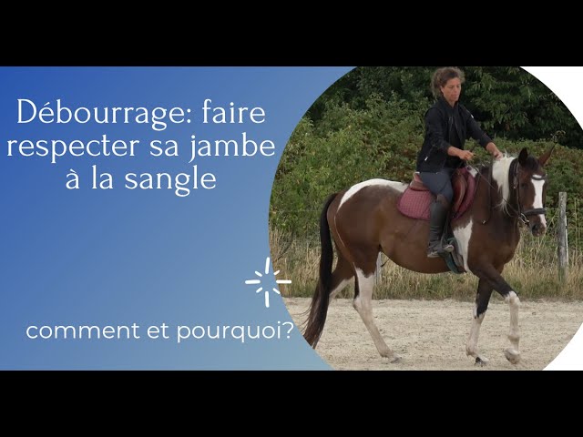 Débourrage: faire respecter sa jambe à la sangle