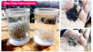 Truth about CHIA Seeds, Sabja & BASIL Seeds: CONFUSION, Basil Vs Chia Seeds - Dr Shalini