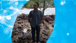 Download lagu Setatus wa al quran Setatus wa al quran