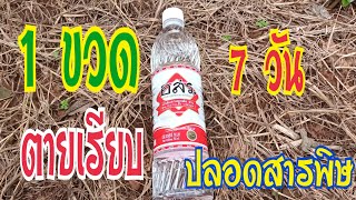 7 วันตายเรียบ สูตรกำจัดหญ้าทุกชนิด/ ยาฆ่าหญ้า สูตรปลอดสารพิษ/ พ่อเพลิน Channel