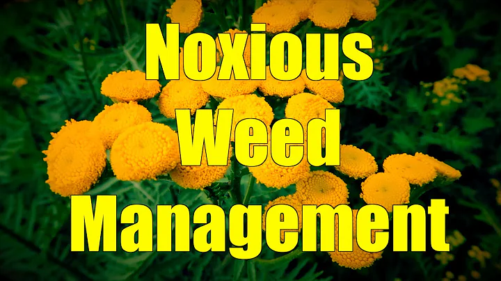 Noxious Weed Management