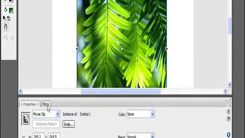 WWW LSOIT IN LEARN FLASH VIDEO TUTORIALS IN HINDI   BLUR EFFECT