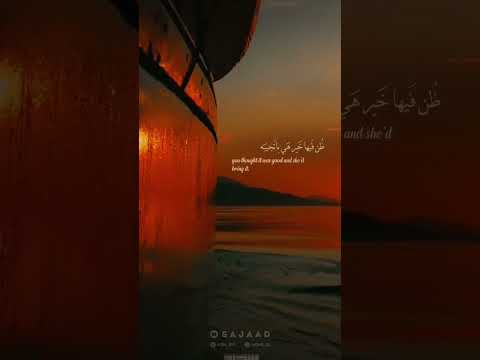 دنيا دنية و الزمن في تقلاب ذوقي