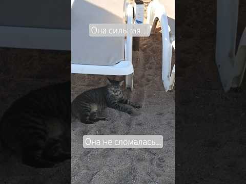 Она не сломалась — она стала сильнее… . #СильнаяЖенщина #ЖенскаяСила