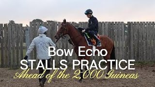 Craig Witheford prepares Bow Echo in the stalls ahead of the 2000 Guineas 2026