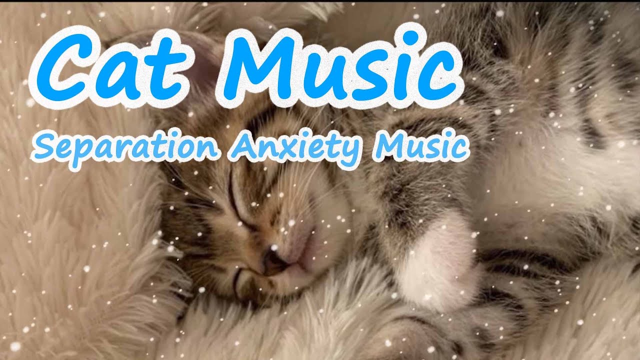 Relaxing Cat Music 