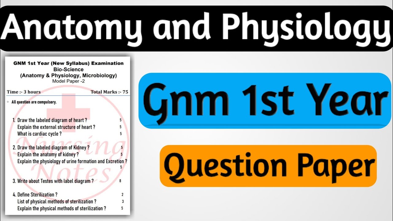 Gnm First Year Anatomy and Physiology Question Paper // Gnm Nursing ...