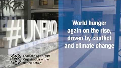 New UN report: World hunger again on the rise, driven by conflict and climate change