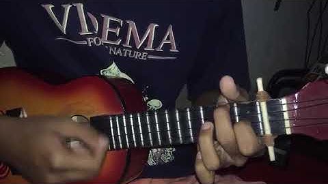 Lily~alan walker (cover) by ukulele