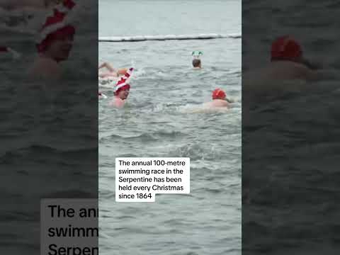 Swimmers brave annual christmas day race