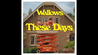 Wallows - These Days 1 Hour