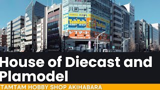 Tamtam Akihabara Japan Hobby Shop in Tokyo, best place for hunting Plamodel, diecast and Gundam?