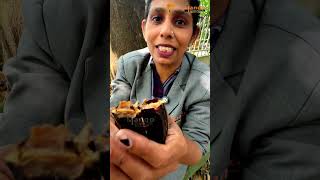 മഴ പയയകകനന വചതരമയ മര